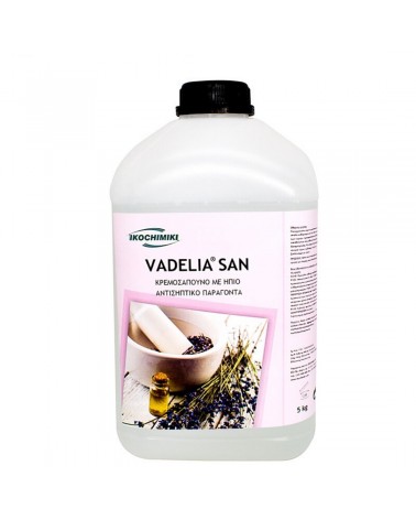 Οικοχημική Αντισηπτικό Κρεμοσάπουνο Vadelia 5 Kg
