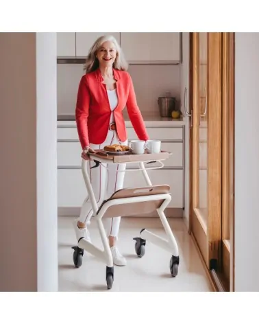 Saljol Περιπατητήρας Rollator Indoor WR55 Velvet Grey