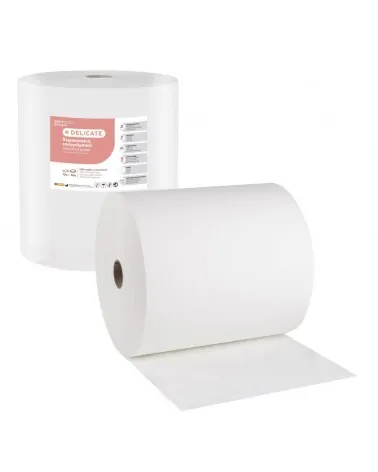 Soft Care Χειροπετσέτα Επαγγελματική Ρολό Delicate 4000gr Jumbo 29cm X 431m