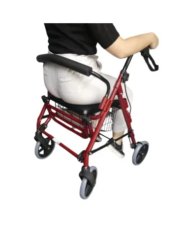 Περιπατητήρας Rollator με Υποπόδιο Victor