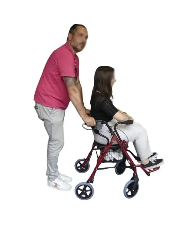Περιπατητήρας Rollator με Υποπόδιο Victor